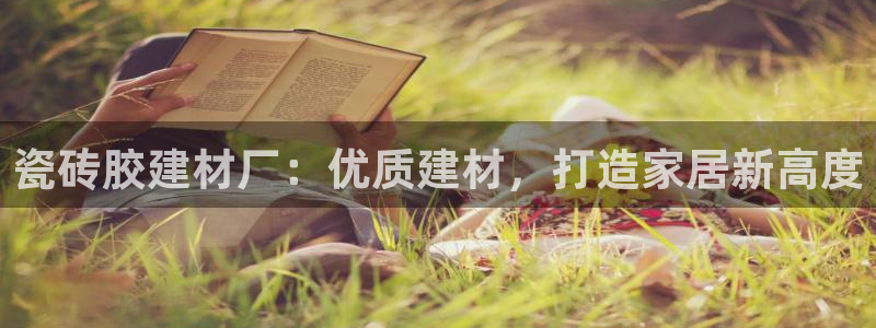 杏鑫平台代理注册流程图