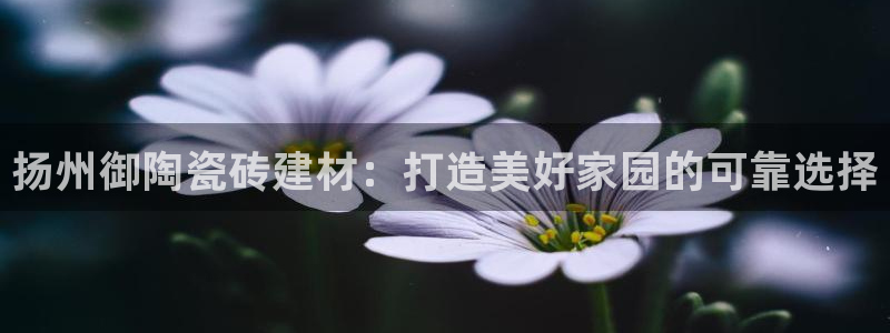 杏鑫平台平台娱乐怎么样