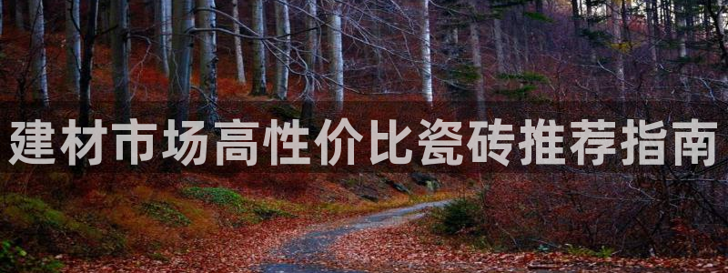 杏鑫平台注册地址