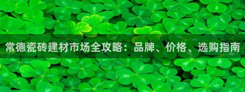 杏鑫平台在线注册