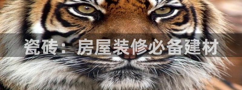 杏鑫平台登陆