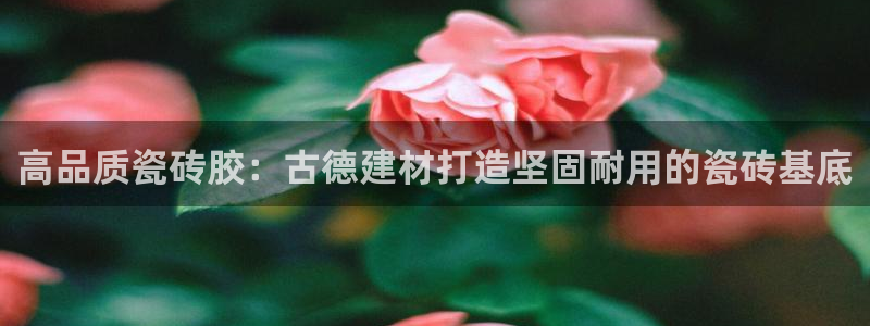 杏鑫平台怎么样知乎