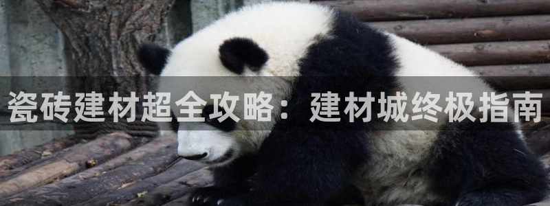 杏鑫手机客户端