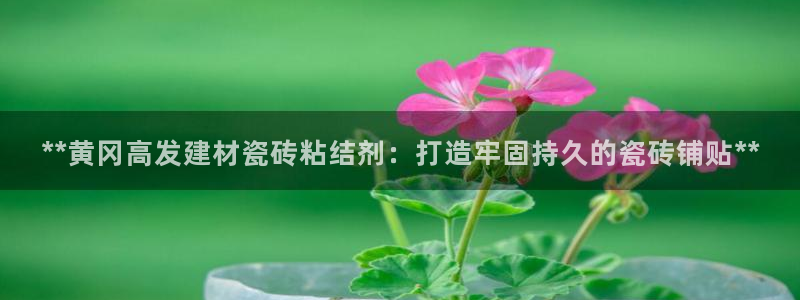 杏鑫娱乐是真的吗还是假的