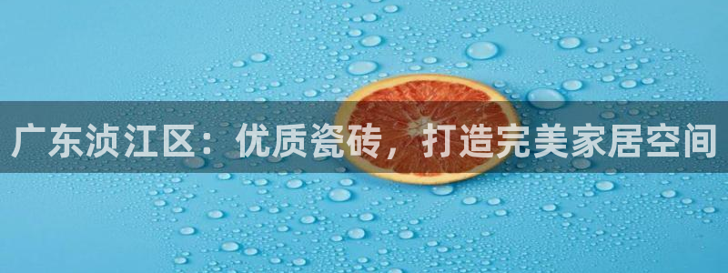 杏鑫招商总代