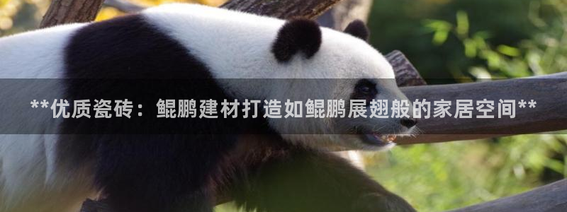 杏鑫娱乐多少年了
