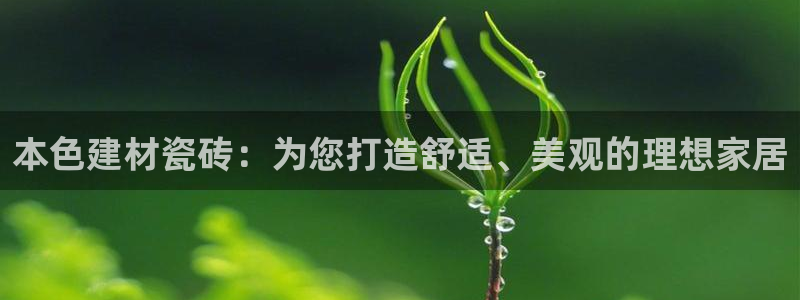 杏鑫平台注册网址是什么