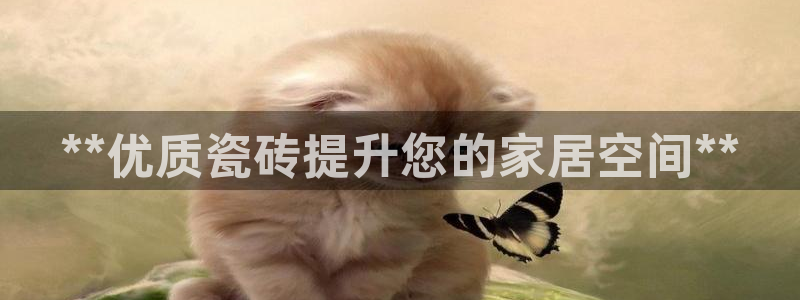 杏鑫平台登陆