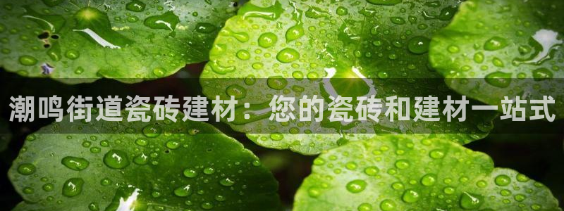 杏鑫平台代理怎么做赚钱