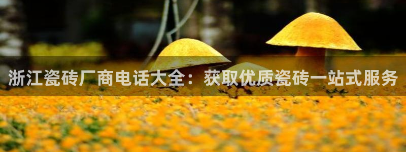 杏鑫娱乐官网登录