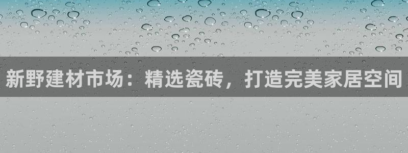 杏鑫平台代理注册登录不了怎么办呀视频