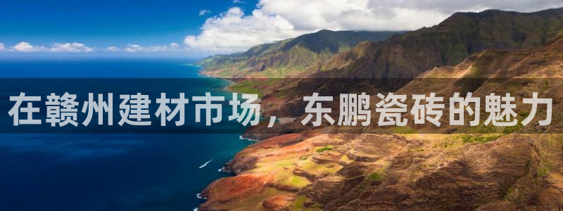 杏鑫注册登录