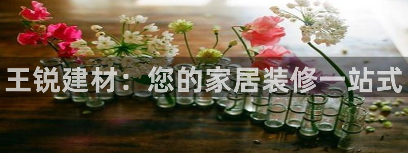 杏鑫平台招商怎么样