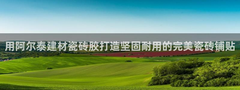 杏鑫平台直属哪个公司