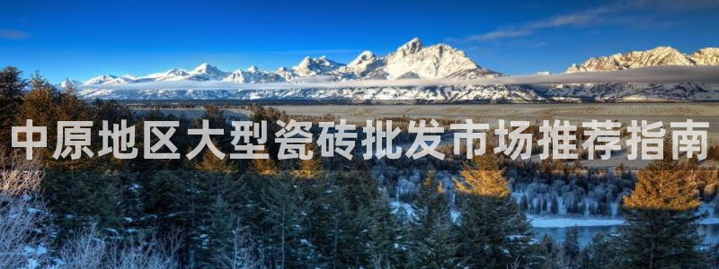 杏鑫平台在线注册流程