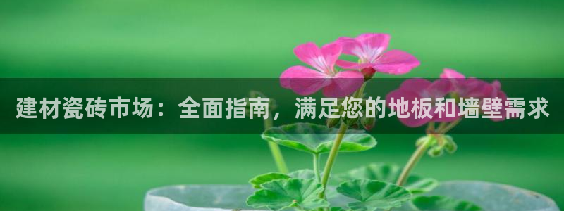 杏鑫平台测速
