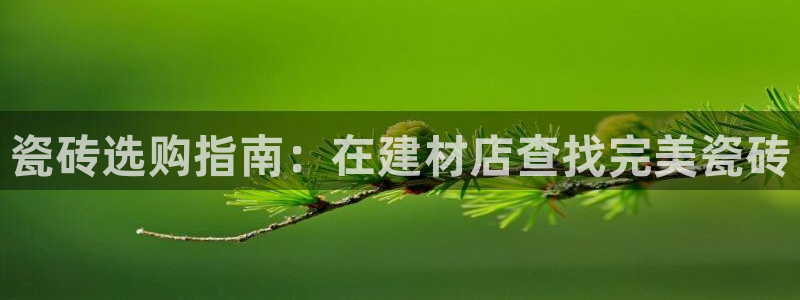 杏鑫平台正规吗可信吗
