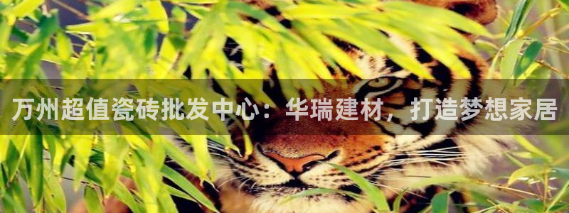 杏鑫娱乐官网下载