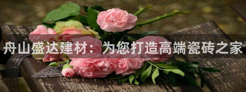 杏鑫招商总代