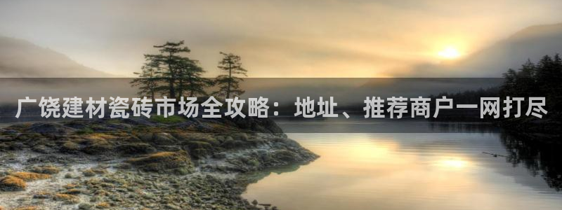 杏鑫注册登录代理公司