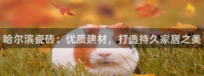 杏鑫平台待遇