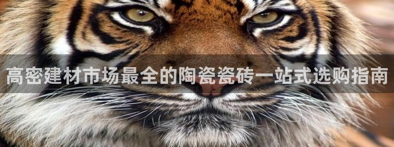 杏鑫平台怎么样黑钱吗是真的吗吗