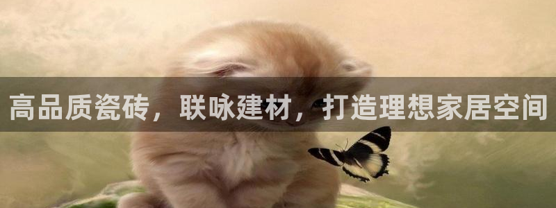 杏鑫代理注册