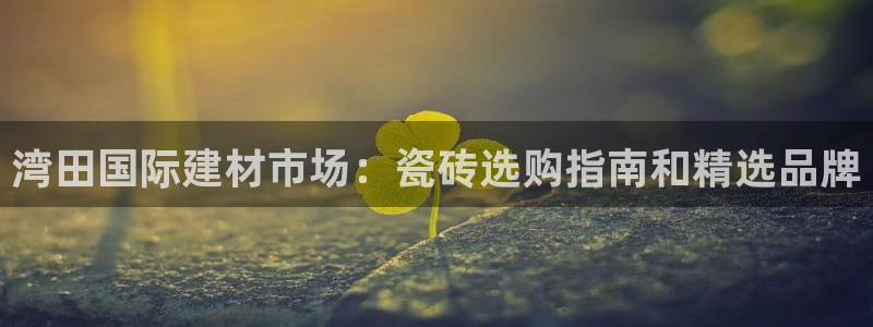 杏鑫平台代理