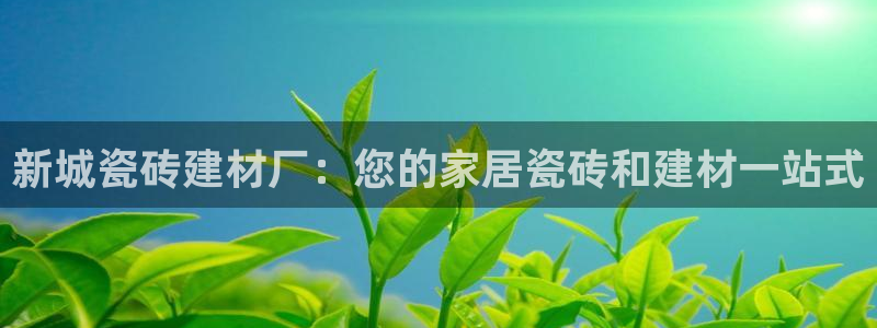 杏鑫官网注册账号是什么