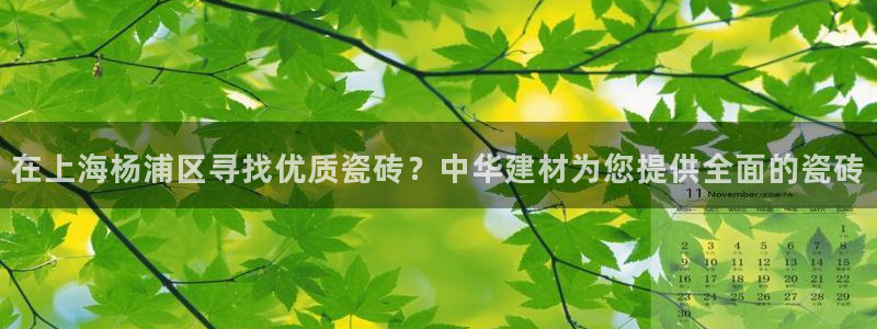 杏鑫平台直属