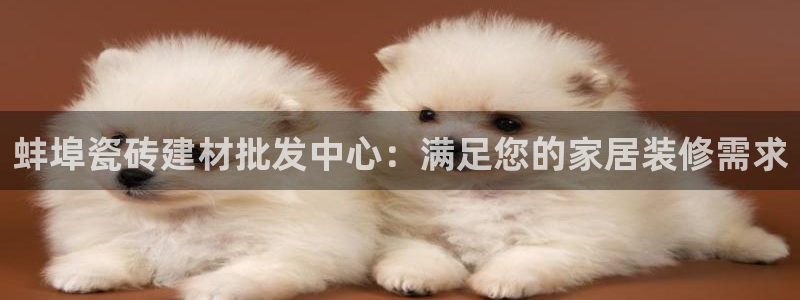 杏鑫主管