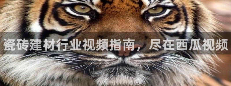 杏鑫平台招商电话号码查询