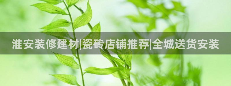 杏鑫娱乐官网登录不了