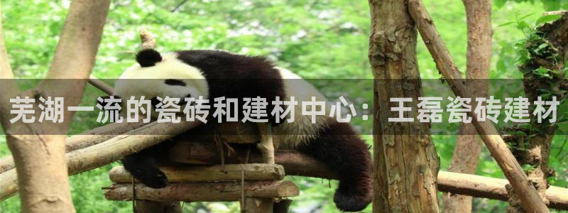 杏鑫平台代理注册流程