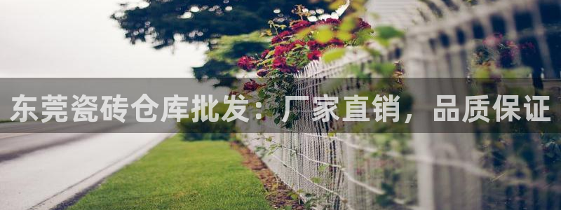 杏鑫官网最新信息