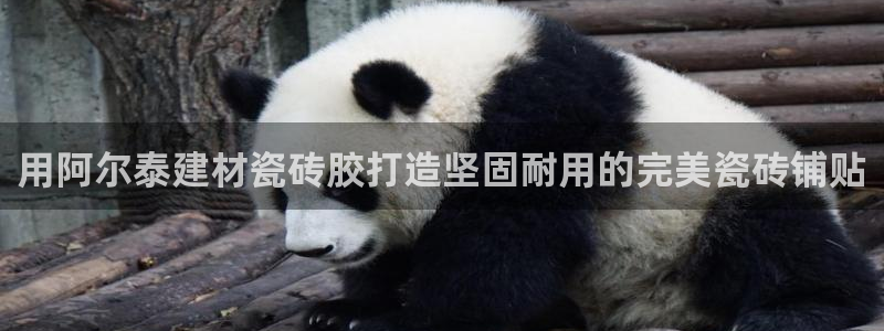 杏鑫娱乐是真的吗还是假的