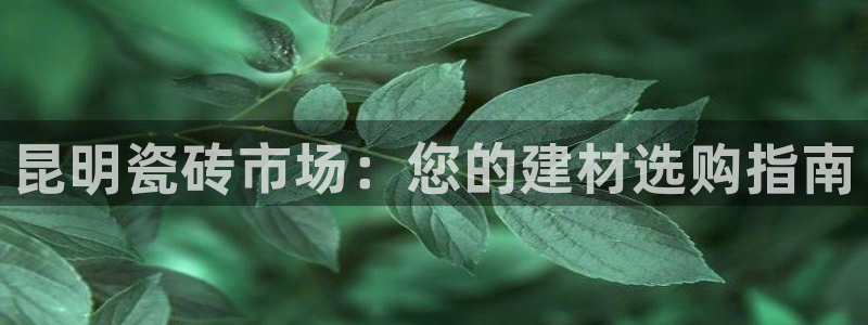 杏鑫平台是黑平台吗是真的吗