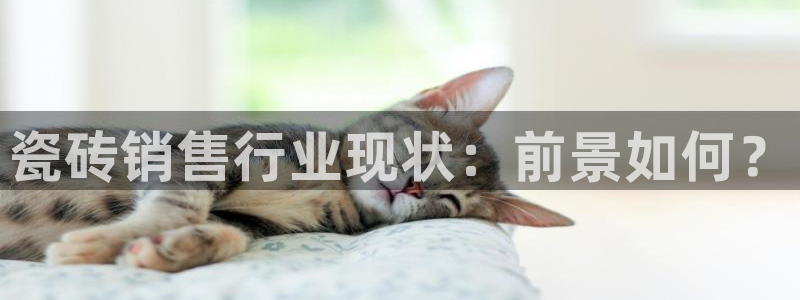 杏鑫平台招商怎么样啊