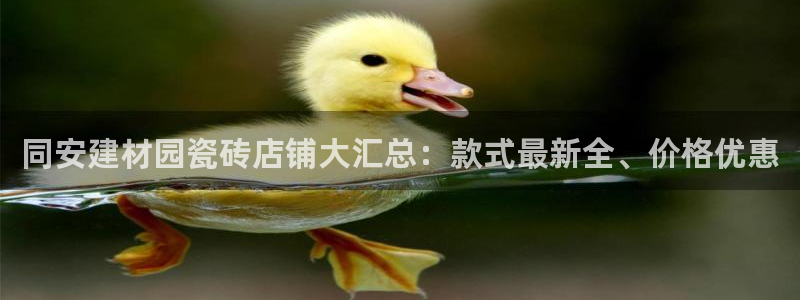 杏鑫平台代理注册多少钱一个