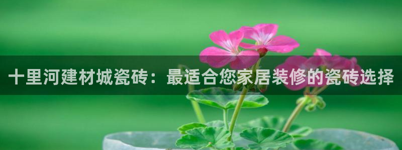 杏鑫平台列7O777