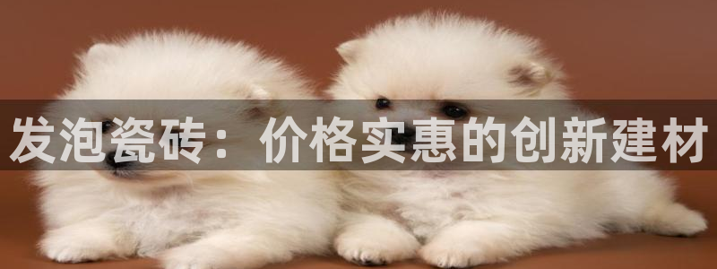 杏鑫平台代理怎么做的