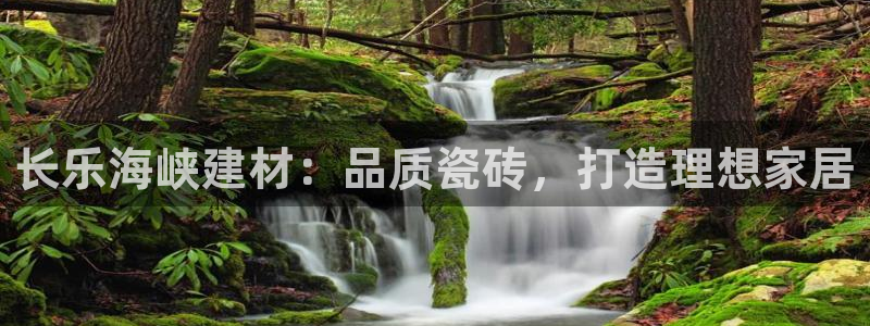 杏鑫平台注册地址