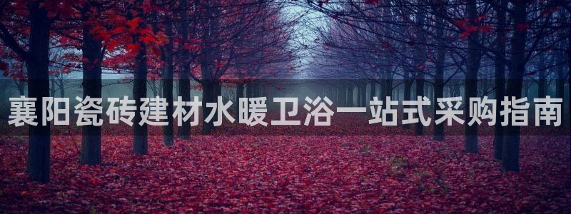 杏鑫平台怎么样黑钱吗是真的吗