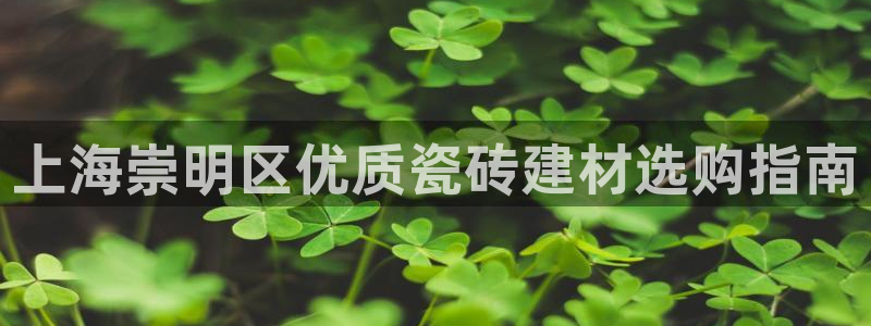 杏鑫平台招商怎么样啊
