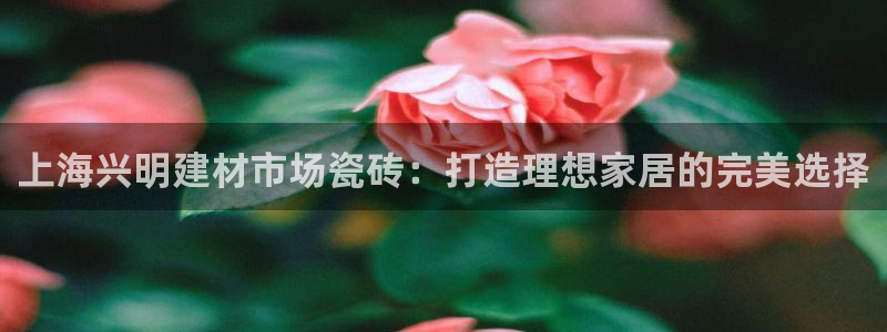 杏鑫平台念7O777