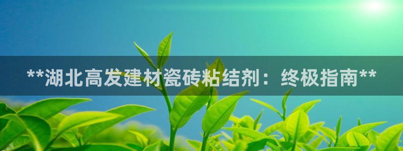 杏鑫官方app代理