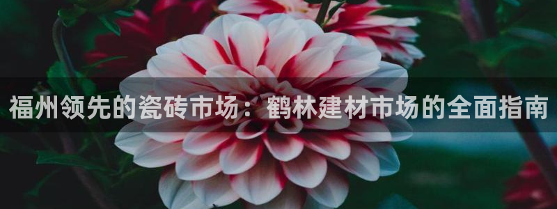 杏鑫娱乐靠谱吗