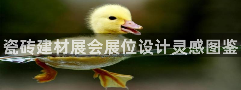杏鑫平台平台娱乐
