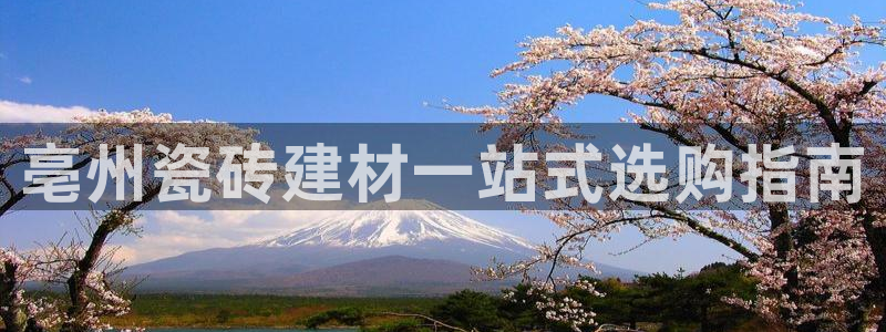 杏鑫平台招商