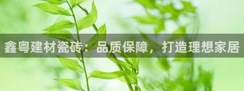 杏鑫平台注册网址是什么